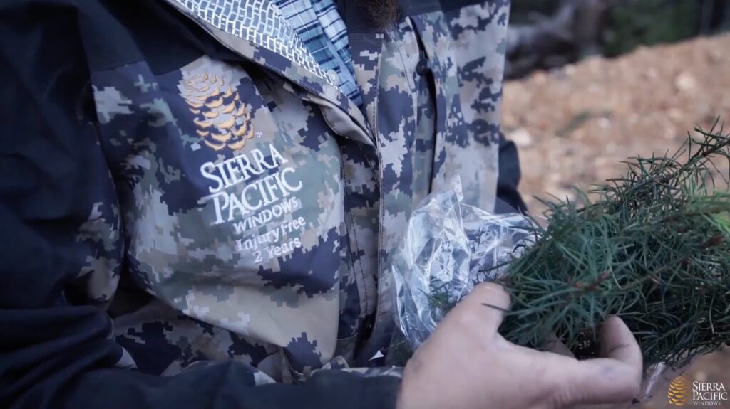 Screenshot-2025-09-27-at-4.12