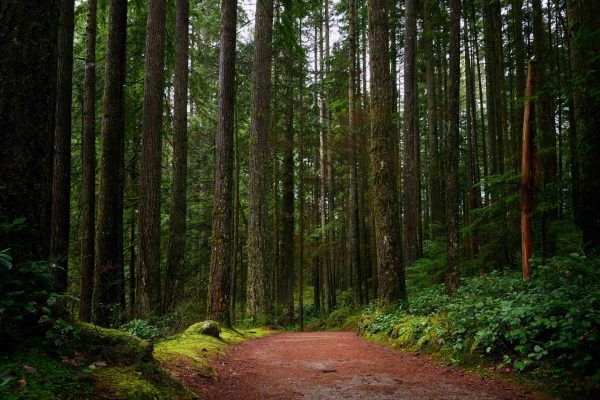 AdobeStock_1499344450